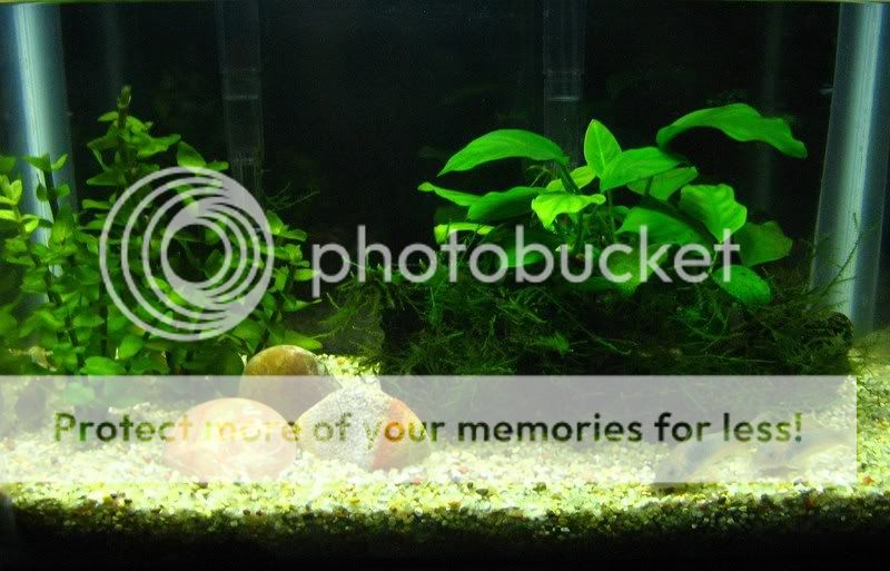 December07Tankupdates001.jpg