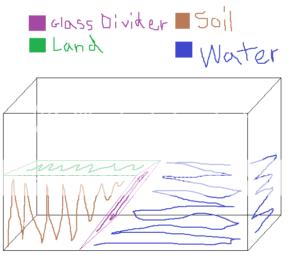 Paludarium.png