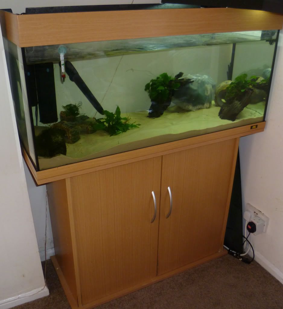 fishtank1.jpg