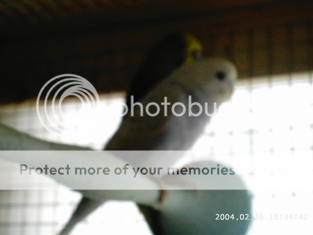 PHOT0022.jpg