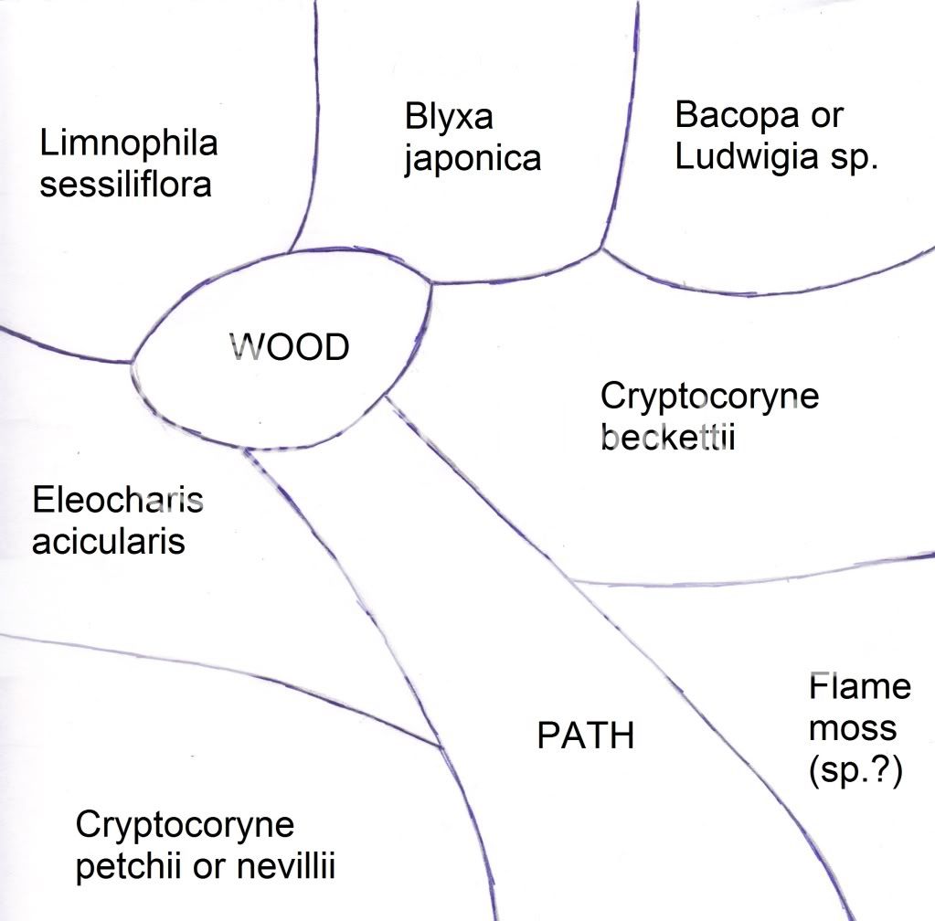 baseplan-1.jpg