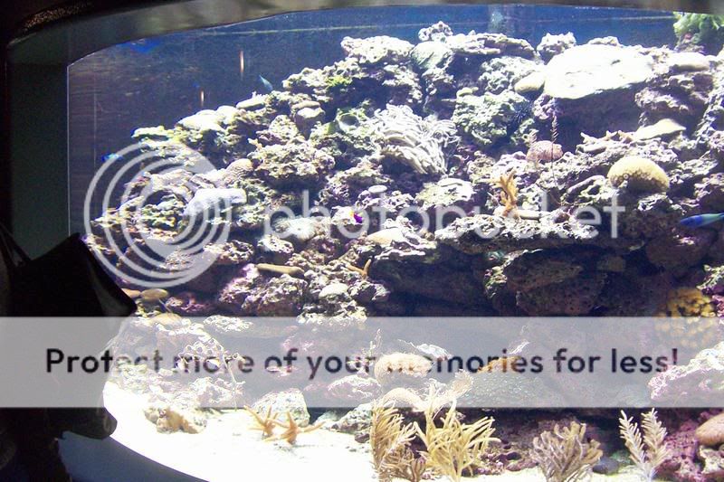 FloridaAquarium102.jpg