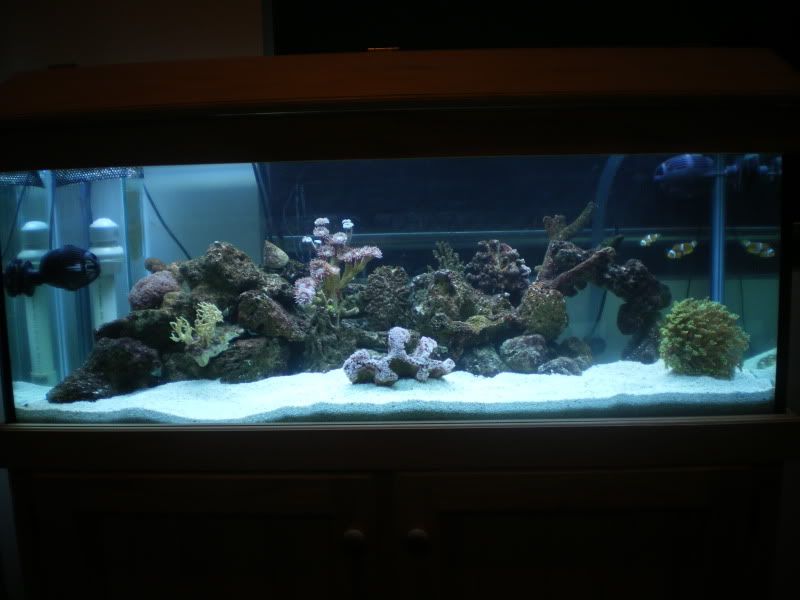 FTS28-07-10.jpg