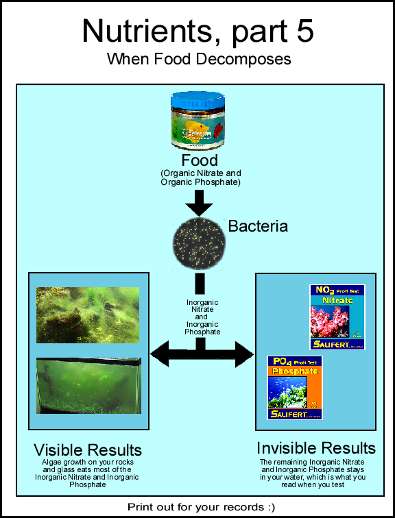 Nutrients5.jpg