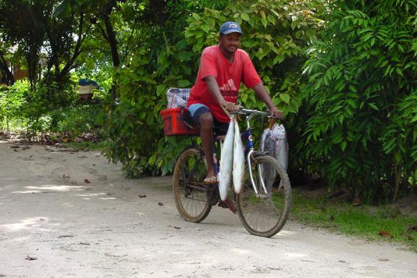 seychellesfishing08.jpg