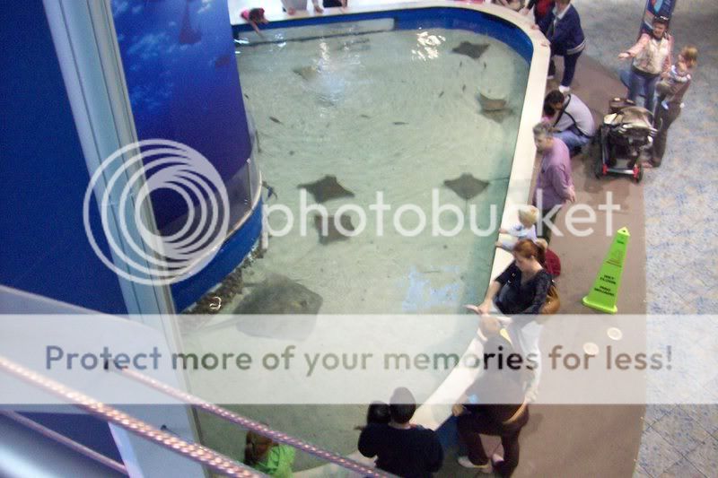 FloridaAquarium122.jpg