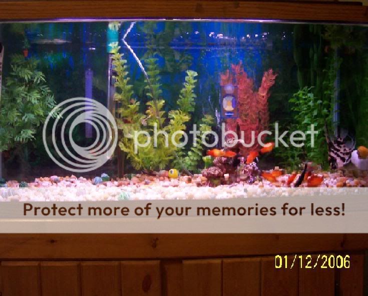 200611293632_tankbackground.jpg