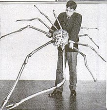 220px-Japanese_spider_crab.jpg