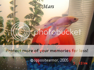 mars925.png