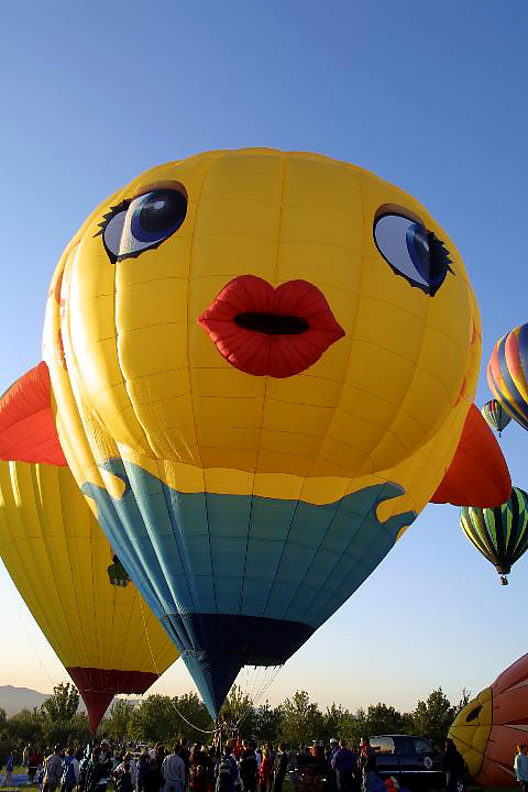 BalloonCRW_0313.jpg