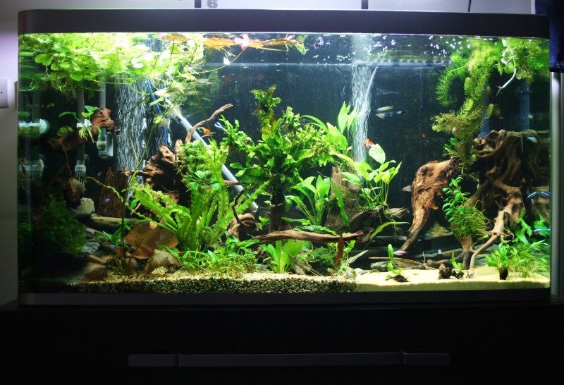 newfishtank022.jpg