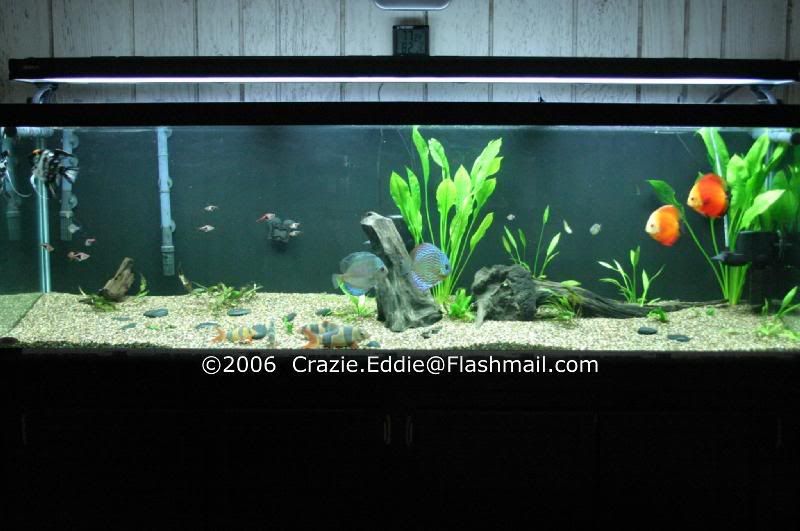 125Gallon-2006-1.jpg