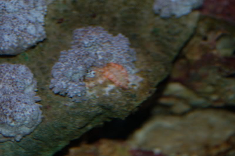 aquarium001-1.jpg