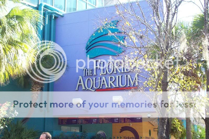 FloridaAquarium002.jpg