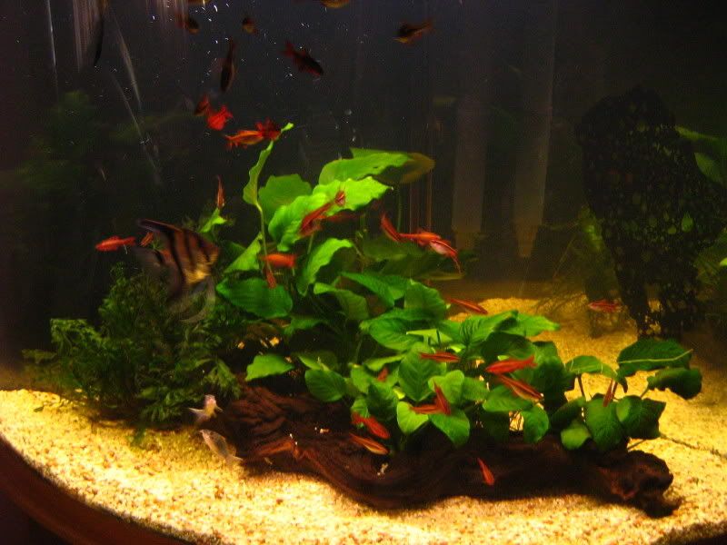 December07Tankupdates004.jpg