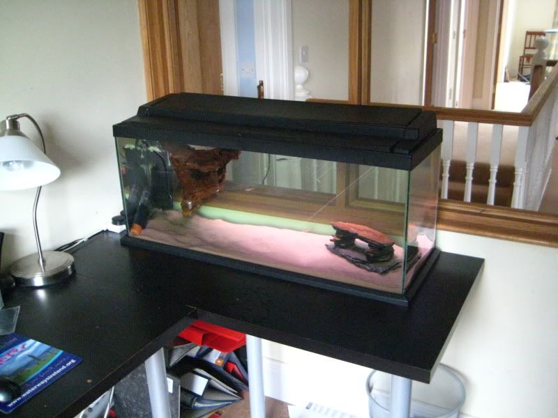 fishtank008.jpg