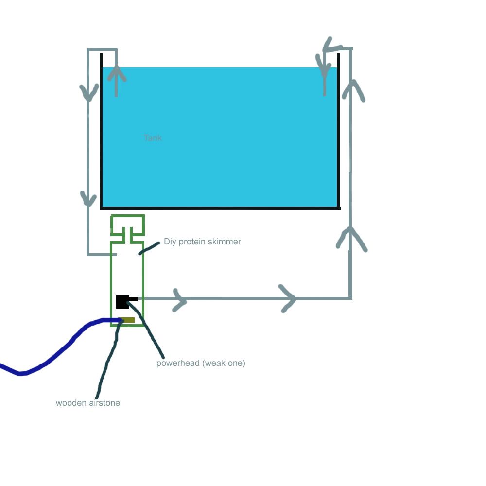 DIYexternalskimmer.jpg