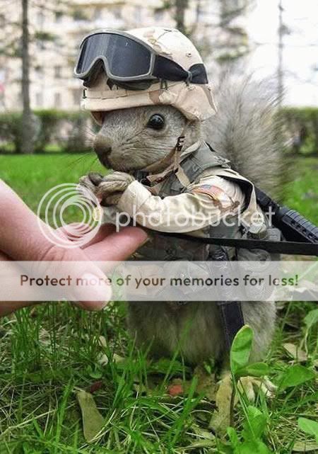 squirrelarmymedal.jpg