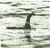 nessie1.jpg