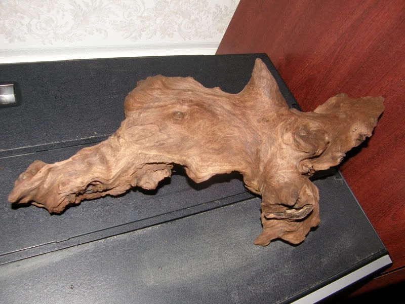 bogwood.jpg