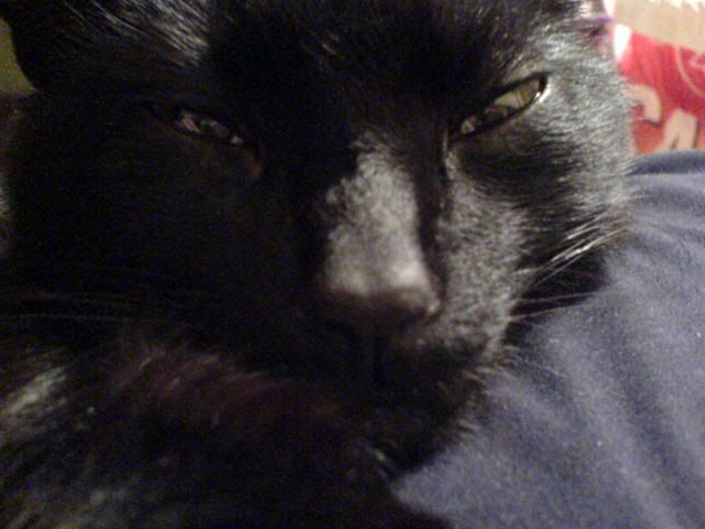 DSC00028.jpg