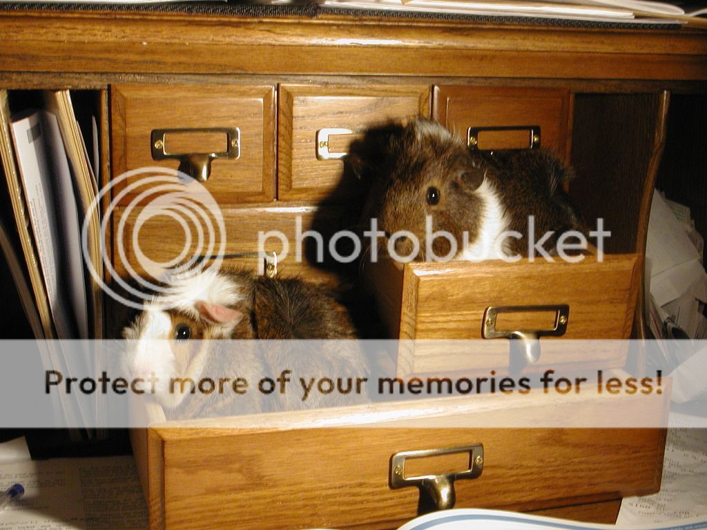RMinbureau002-1.jpg