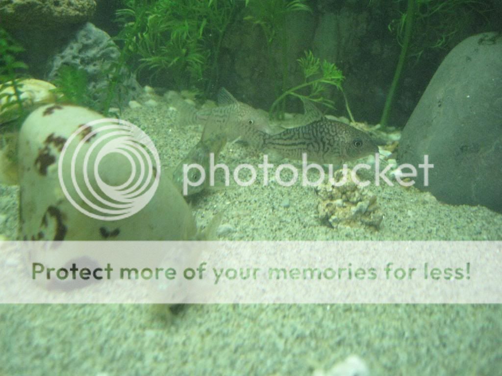 IMG_5463.jpg