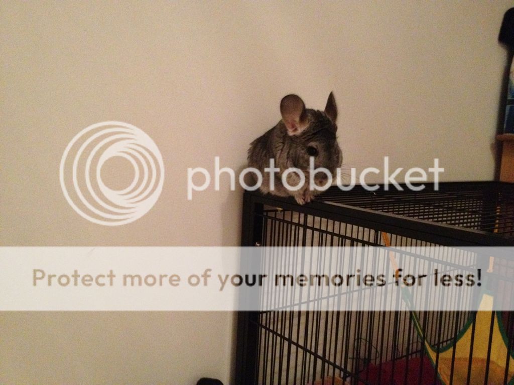 ecdd7280.jpg