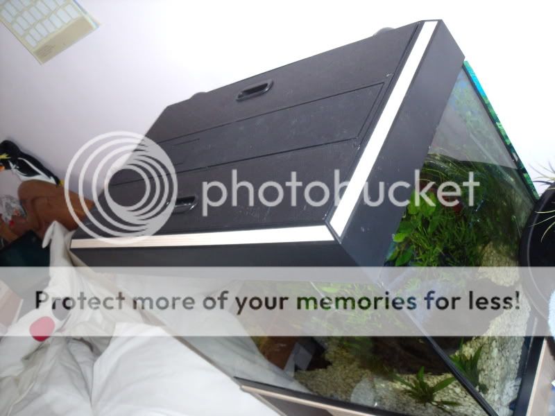 DSCF1887.jpg