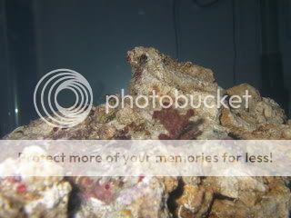 PC280160.jpg