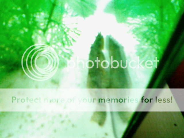SP_A0310.jpg
