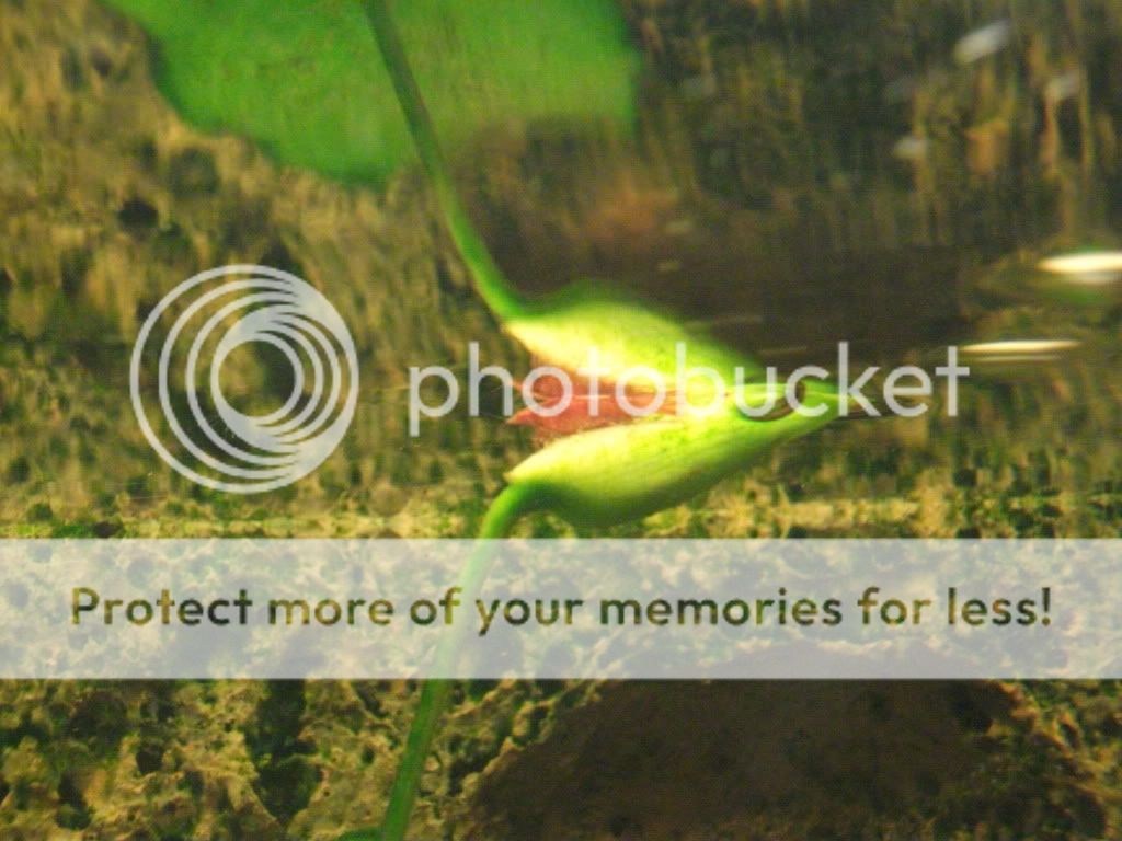 DSCF0507.jpg