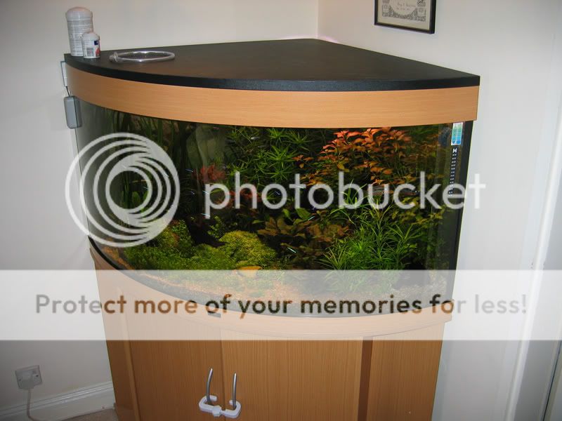 tank-lid1.jpg