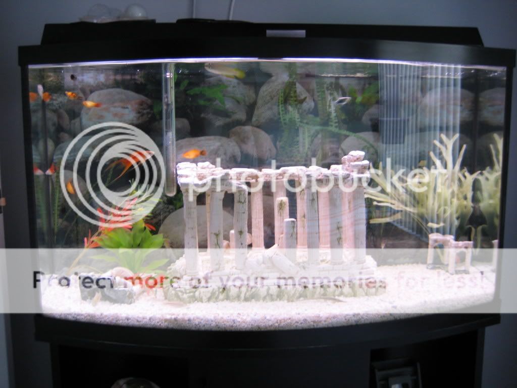 Newkillifishandhillstreamloach033.jpg
