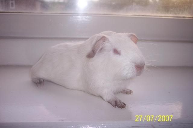 lowri05.jpg