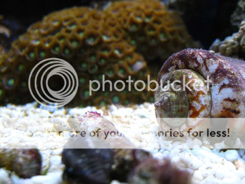 IMG_0516.jpg