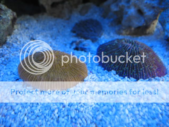 IMG_1641.jpg