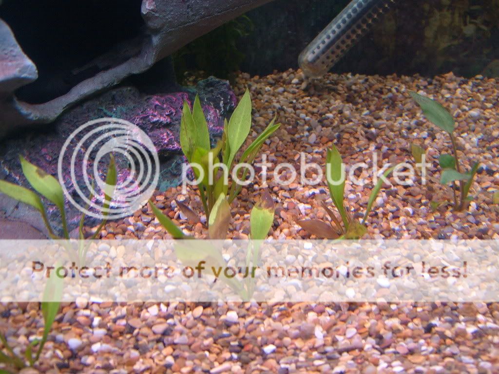 DSCF3826.jpg
