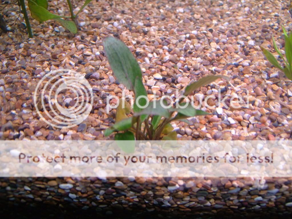 DSCF3829.jpg