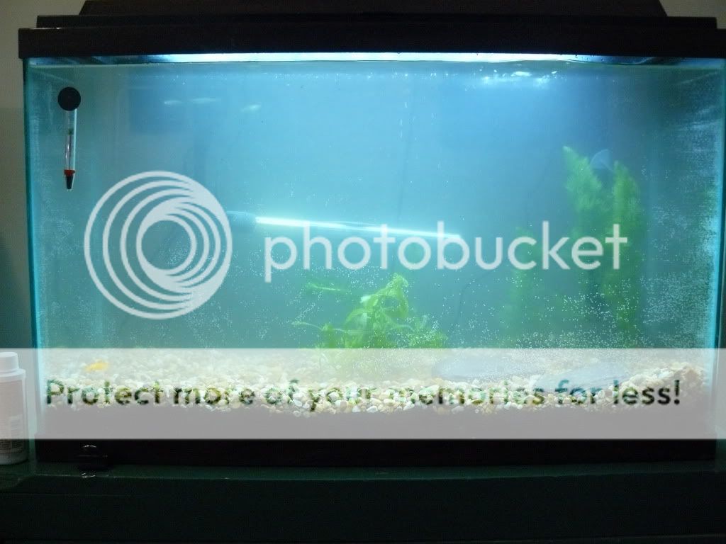 P1060227.jpg
