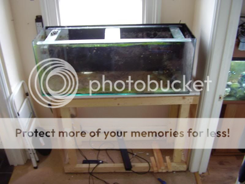 newtankbuild005.jpg