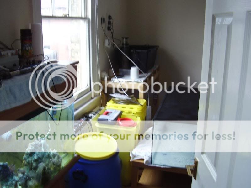 newtankbuild006.jpg