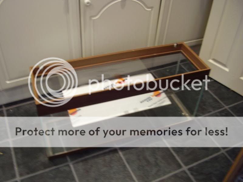 newtankbuild008.jpg