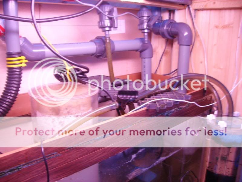 newtankbuildNS018.jpg