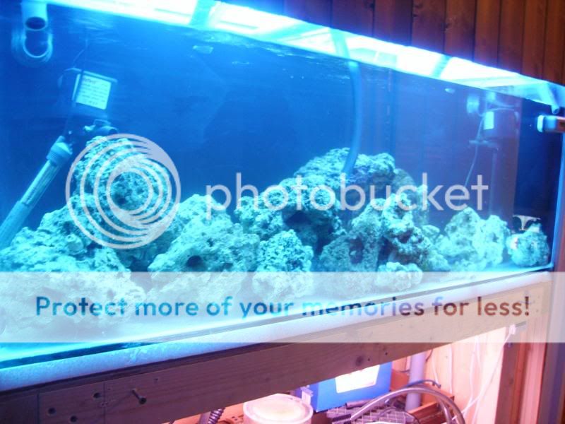 newtankbuildNS028.jpg