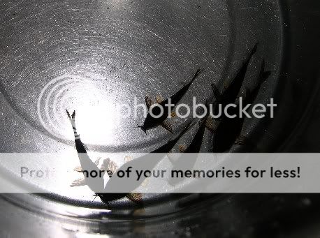 10-07-071.jpg