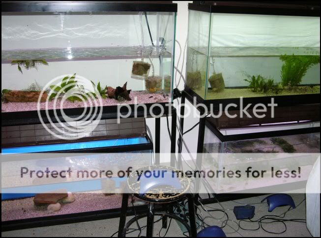 Waterchanges.jpg