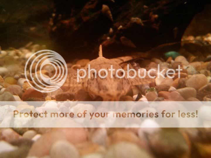 270969_10150230472105983_531790982_7800146_7945545_n.jpg
