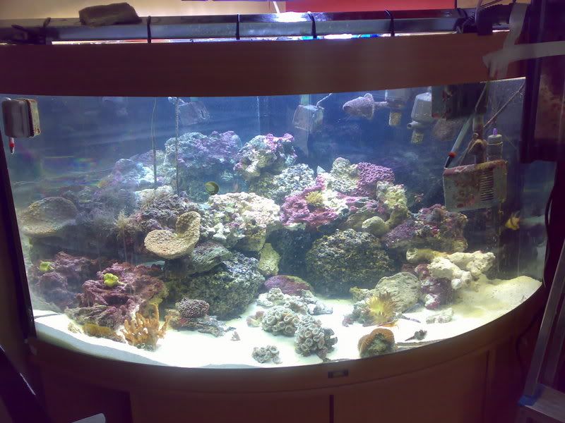 09092007448.jpg