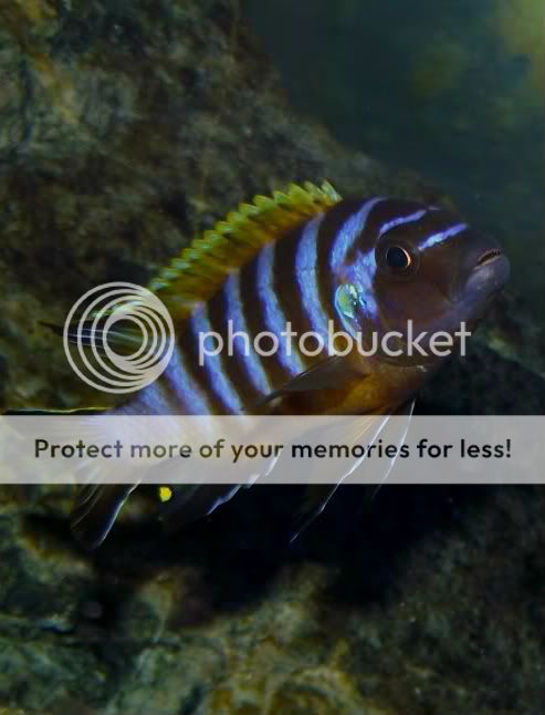 FotoFlexer_Photo-1.jpg